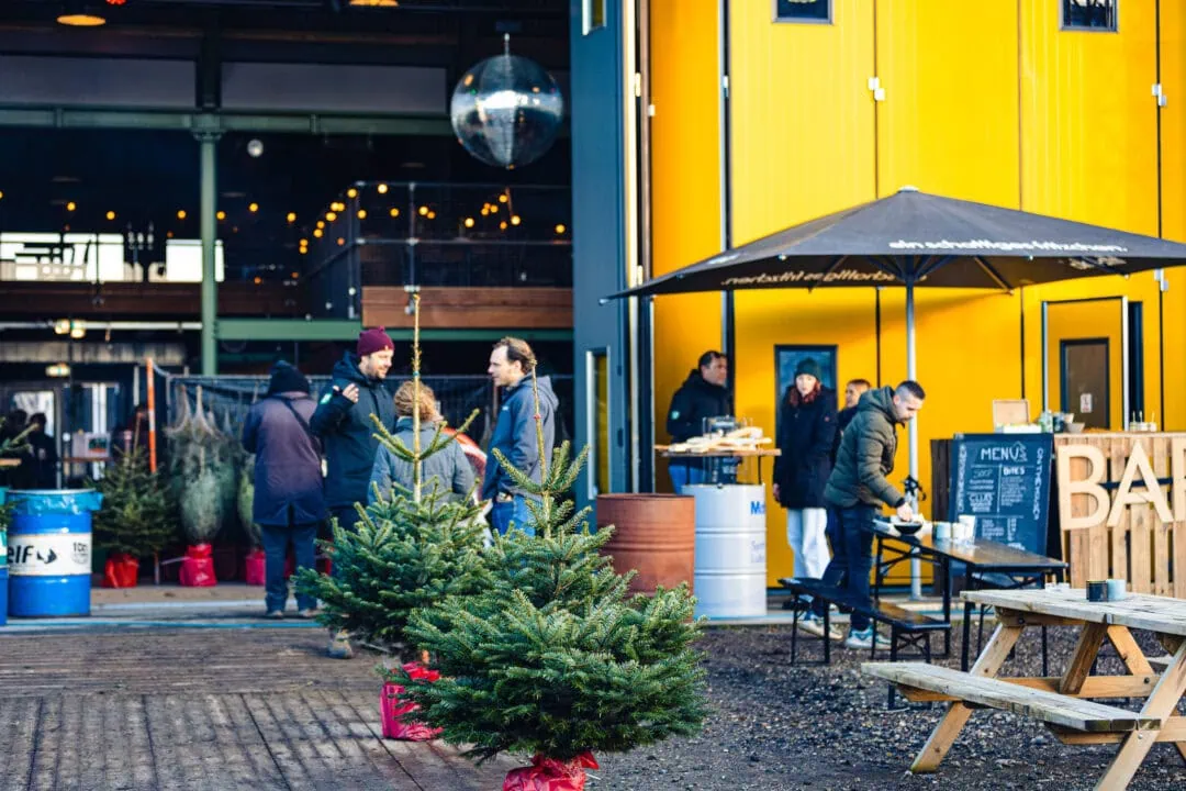 Stadslab Kerstbomen 4385